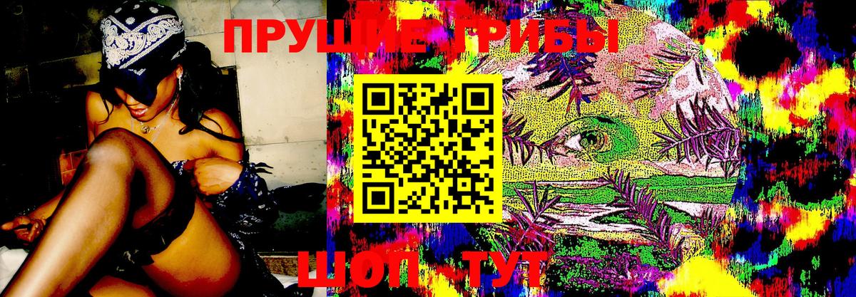 Псилоцибиновые грибы ЛСД  Вход с VPN  Малгобек  Галлюциногенные грибы Cubensis 